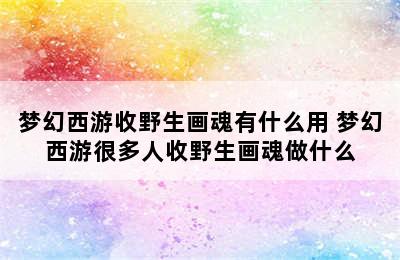 梦幻西游收野生画魂有什么用 梦幻西游很多人收野生画魂做什么